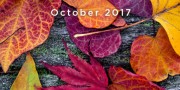 OLEJOVÉ novinky  -  Október 2017