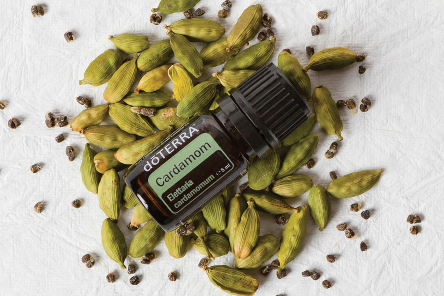 Zľava 10 % na olej Kardamón